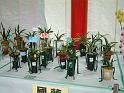 DSCF0109