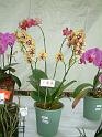 DSCF0111