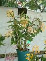 DSCF0117