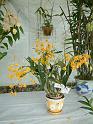 DSCF0118