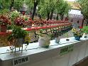 DSCF0128