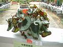 DSCF0150