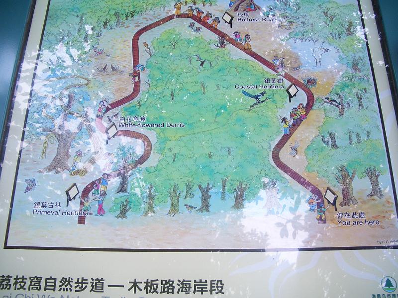 CIMG6980.JPG