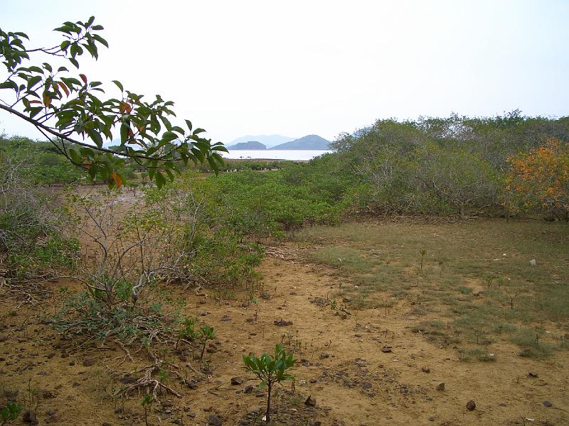 CIMG6981.JPG