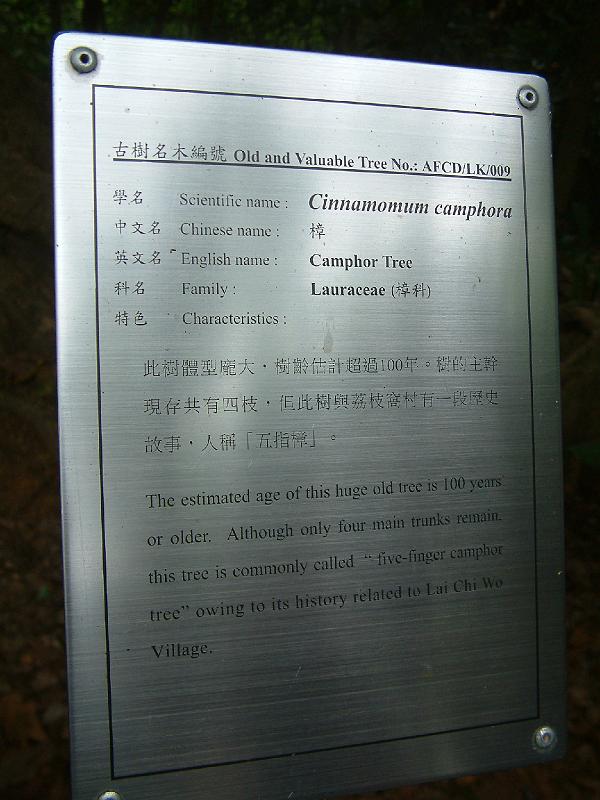 DSCF0122.JPG