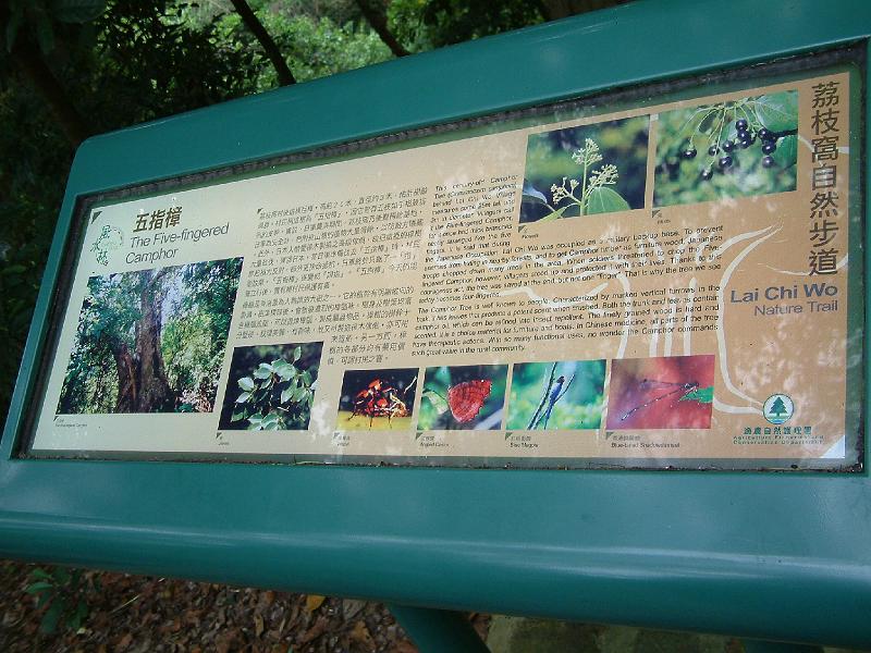 DSCF0123.JPG