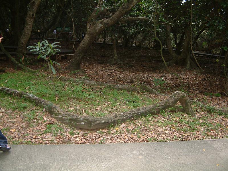 DSCF0132.JPG
