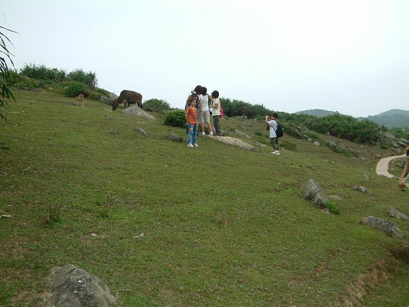 DSCF0222.JPG