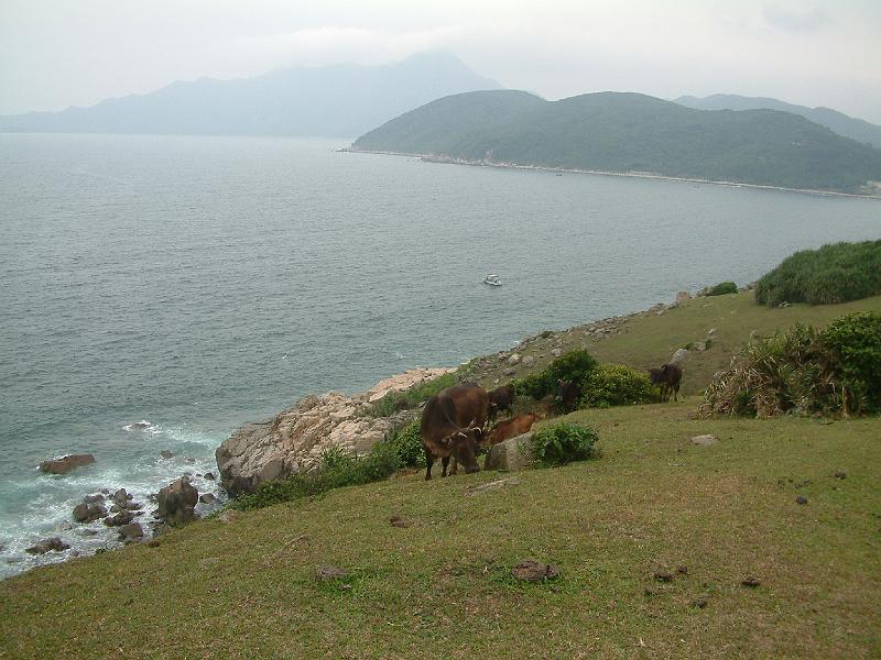 DSCF0226.JPG