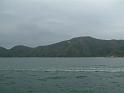 DSCF0054