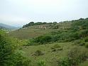 DSCF0235