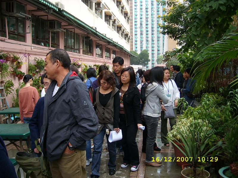 SL270129.JPG