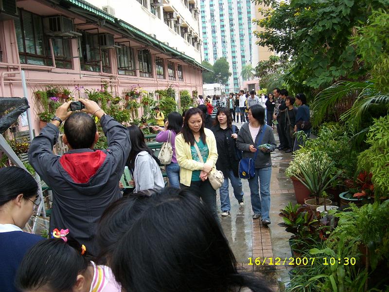SL270131.JPG