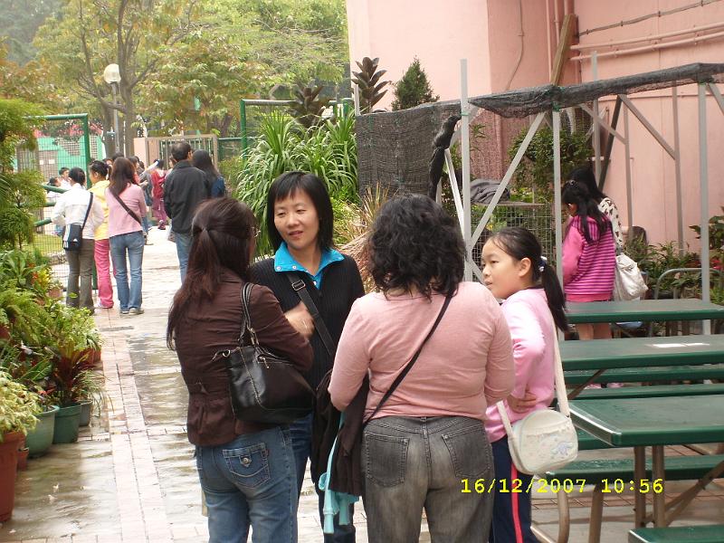 SL270137.JPG