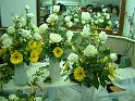 DSCF0004