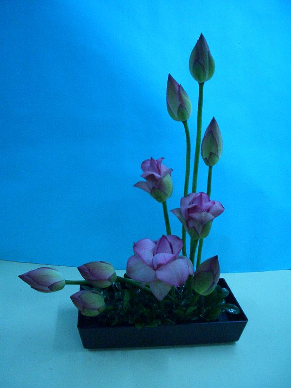 CIMG0379.JPG