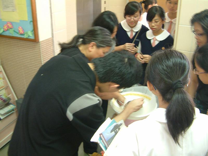 DSCF0346.JPG
