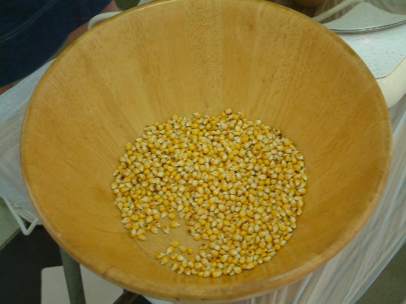 DSCF0001.JPG
