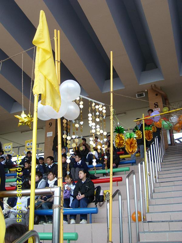 SL270329.JPG