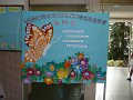P1030480