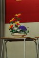 IMG_1001