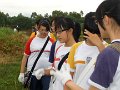 20090812長春社-濕地公園摘蔽金菊