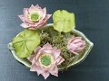 2009D麵粉花班