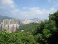 IMG_4064