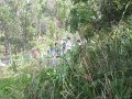 IMG_4072