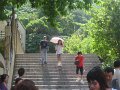 IMG_4110