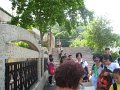 IMG_4123