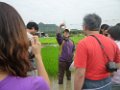 24042010塱原插秧體驗活動相片