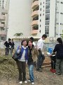20110518百中田園