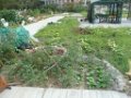 20110519百中田園