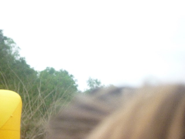 P1030909