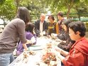 20-12-2011水仙花班