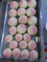 IMG-20130302-WA0008