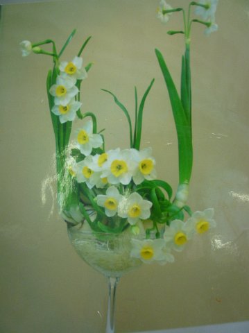 P1050854