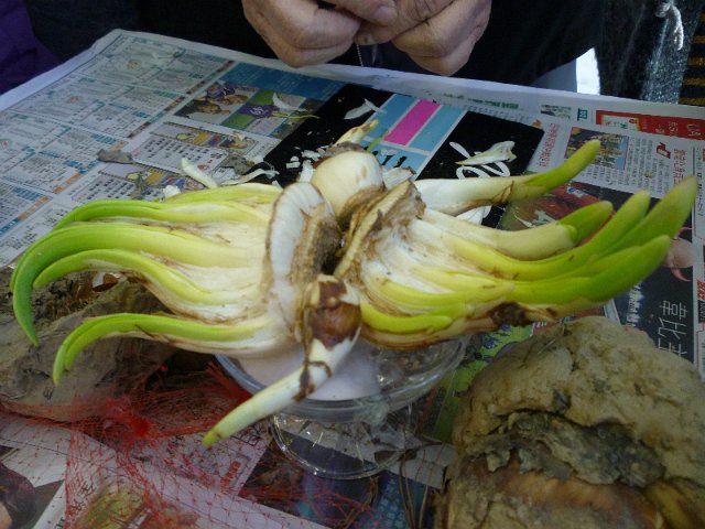 P1050855