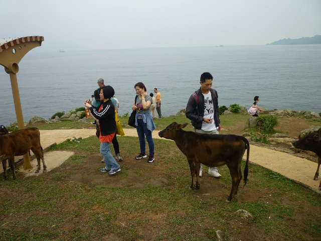 P1060769